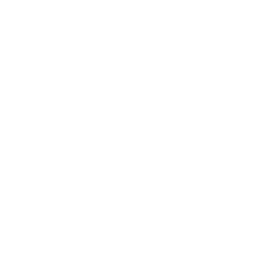 Car icon.